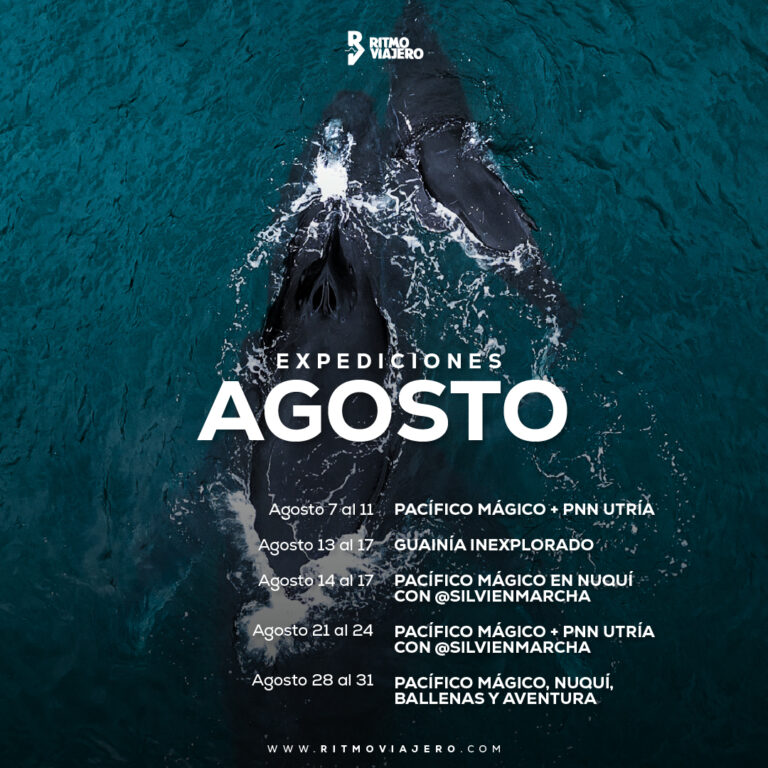 @RitmoViajero - 9-Agosto